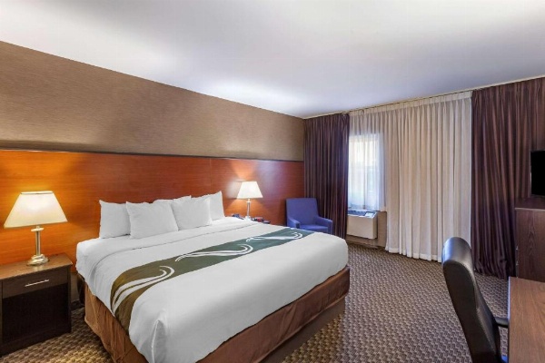 Quality Inn Toronto Airport image 8